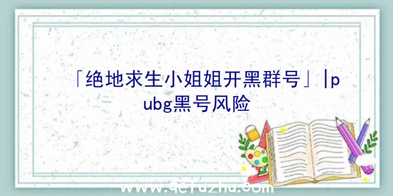 「绝地求生小姐姐开黑群号」|pubg黑号风险